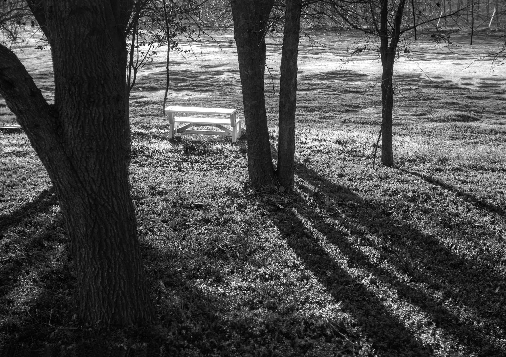 White Bench
